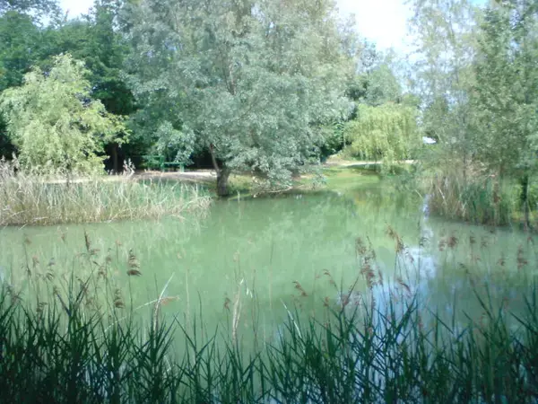 Abri Piscine Télescopique Achat abri de piscine Foulayronnes