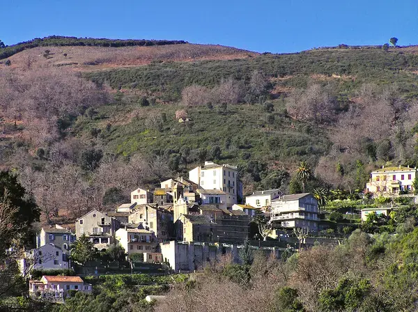 Abri Piscine Télescopique Achat abri de piscine Lucciana