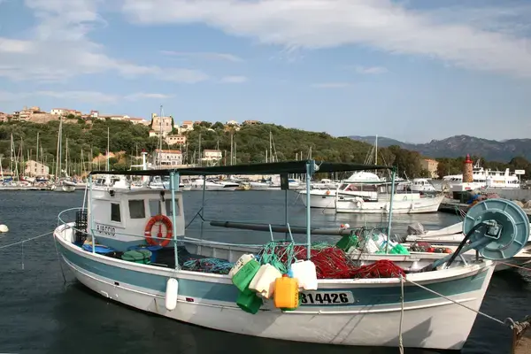 Abri Piscine Télescopique Achat abri de piscine Porto-Vecchio