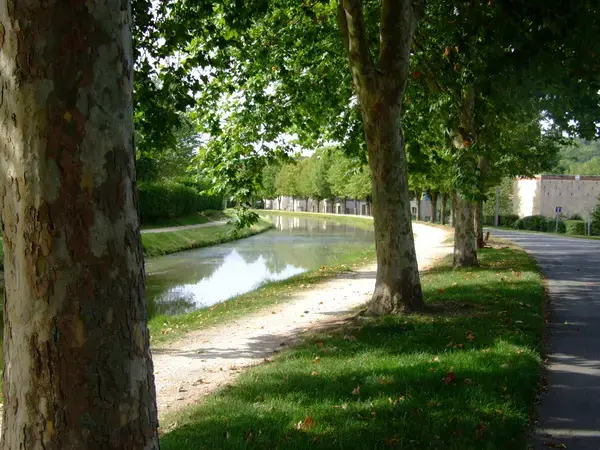 Abri Piscine Télescopique Achat abri de piscine Saint-Amand-Montrond