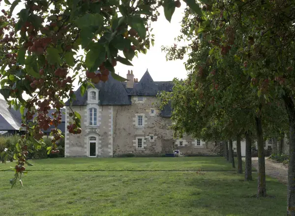 Abri Piscine Télescopique Achat abri de piscine Saint-Barthélemy-d'Anjou